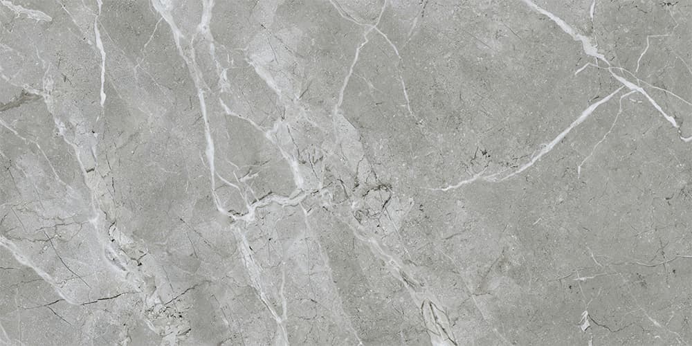 60x120 SilkMarble Бреча Серый Матовый R9