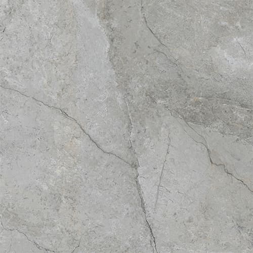 60x60 ArcticStone Серый Матовый R10A